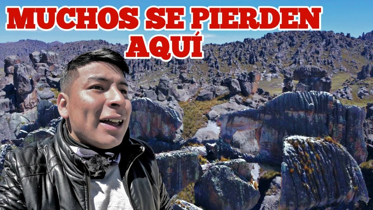 Un bosque de piedras en Perú